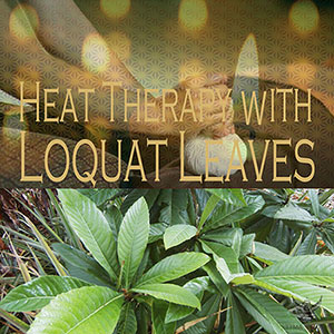 ビワの葉温熱療法
